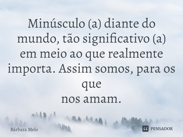 ⁠Minúsculo (a) diante do mundo, tão significativo (a) em meio ao que realmente importa. Assim somos, para os que
nos amam.... Frase de Bárbara Melo.