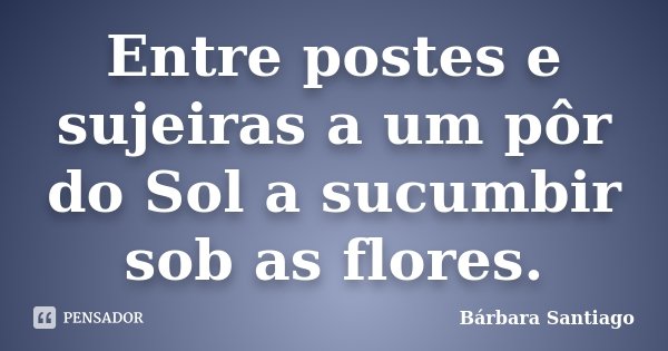 Entre postes e sujeiras a um pôr do Sol a sucumbir sob as flores.... Frase de Bárbara Santiago.