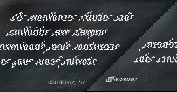 Os melhores frutos são colhidos em tempo predeterminado pela natureza das coisas que você planta.... Frase de BARBOSA, J. A..