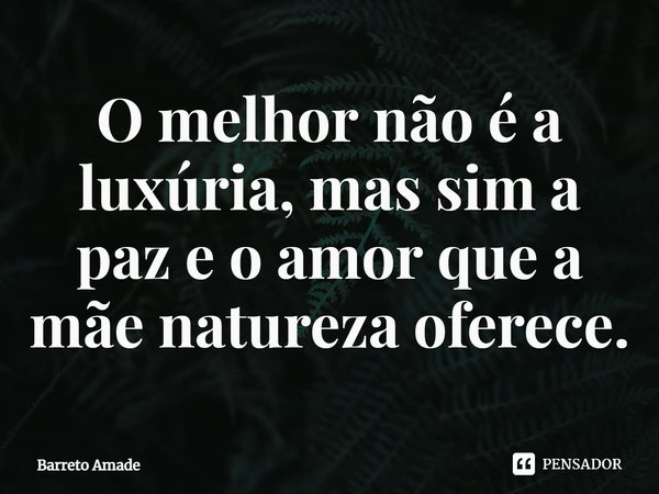 ⁠O melhor não é a luxúria, mas sim a paz e o amor que a mãe natureza oferece.... Frase de Barreto Amade.