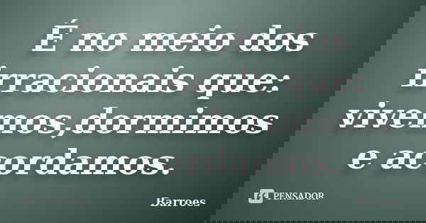 É no meio dos irracionais que: vivemos,dormimos e acordamos.... Frase de barroes.