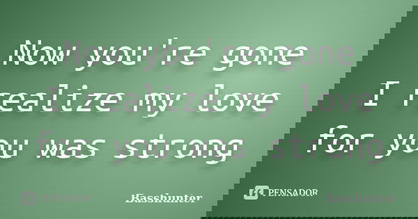 Now you're gone I realize my love for you was strong... Frase de Basshunter.