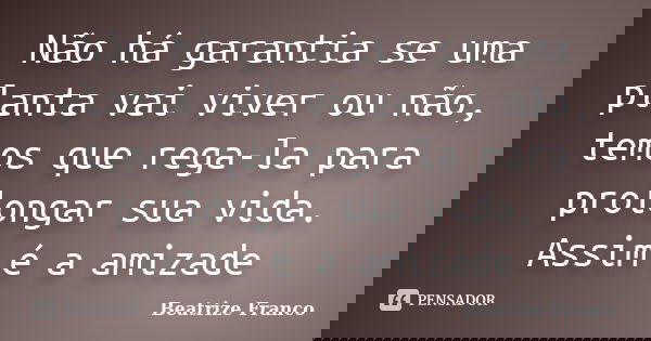 Não há garantia se uma planta vai viver ou não, temos que rega-la para prolongar sua vida. Assim é a amizade... Frase de Beatrize Franco.