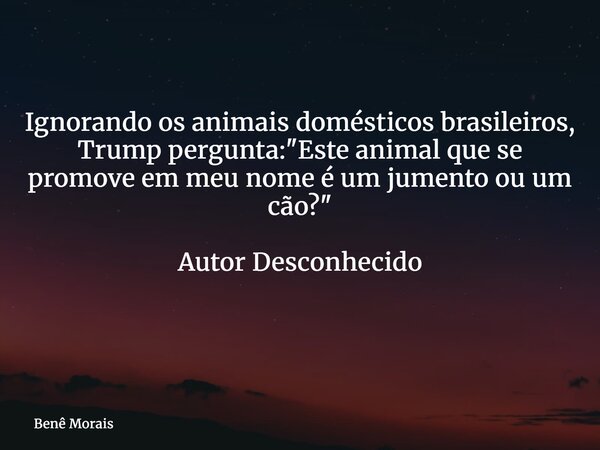 Ignorando os animais domésticos brasileiros, Trump pergunta: "Este animal que se promove em meu nome é um jumento ou um cão?" Autor Desconhecido ⁠... Frase de Benê Morais.