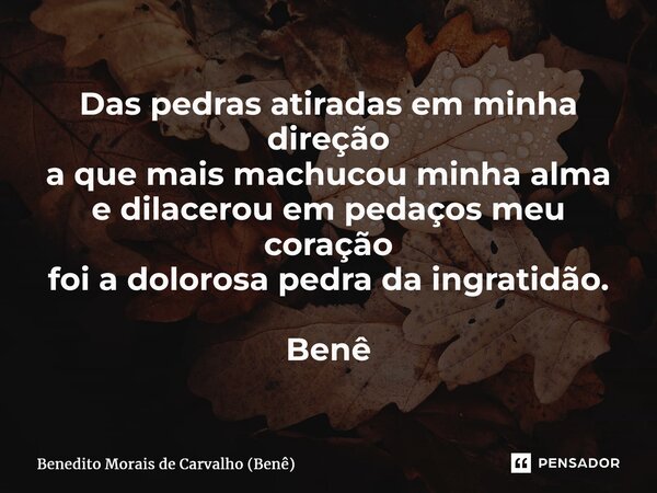 ⁠Das pedras atiradas em minha direção a que mais machucou minha alma e dilacerou em pedaços meu coração foi a dolorosa pedra da ingratidão. Benê... Frase de Benedito Morais de Carvalho (Benê).