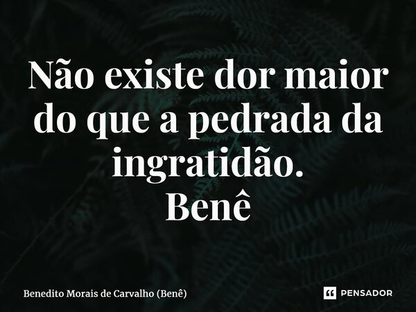 ⁠Não existe dor maior do que a pedrada da ingratidão. Benê... Frase de Benedito Morais de Carvalho (Benê).