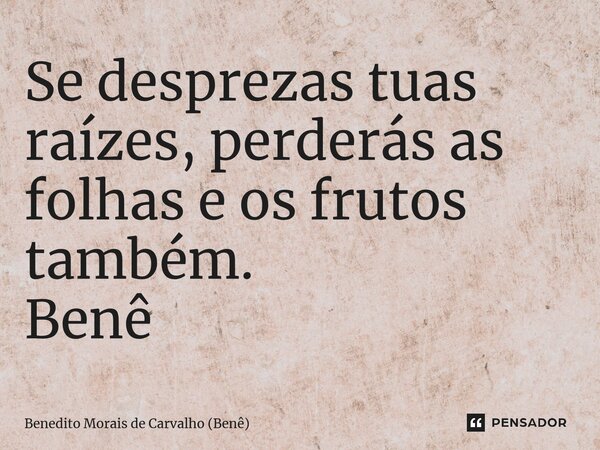 ⁠Se desprezas tuas raízes, perderás as folhas e os frutos também. Benê... Frase de Benedito Morais de Carvalho (Benê).