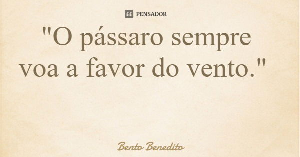 "O pássaro sempre voa a favor do vento."... Frase de Bento Benedito.