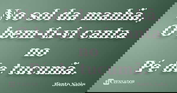 No sol da manhã, O bem-ti-vi canta no Pé de tucumã.... Frase de Bento Sales.