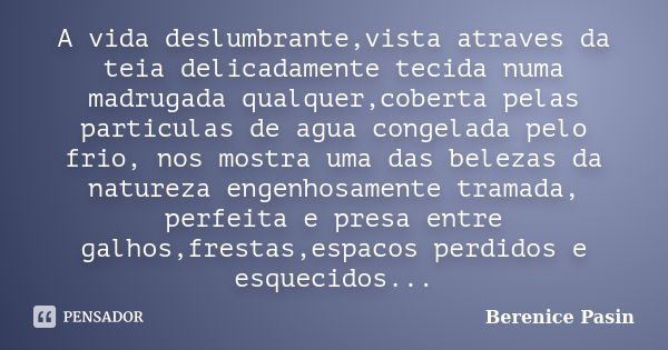 A vida deslumbrante,vista atraves da teia delicadamente tecida numa madrugada qualquer,coberta pelas particulas de agua congelada pelo frio, nos mostra uma das ... Frase de Berenice Pasin.