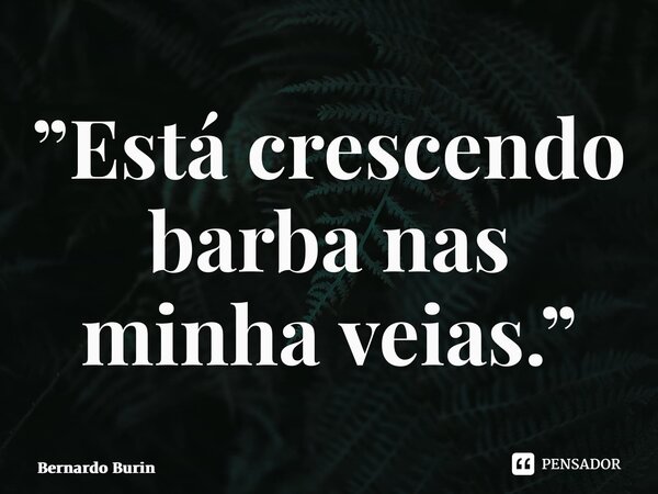 ⁠”Está crescendo barba nas minha veias.”... Frase de Bernardo Burin.