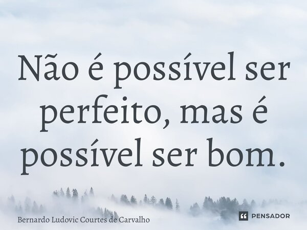 ⁠Não é possível ser perfeito, mas é possível ser bom.... Frase de Bernardo Ludovic Courtes de Carvalho.