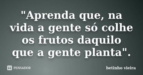 "Aprenda que, na vida a gente só colhe os frutos daquilo que a gente planta".... Frase de Betinho Vieira.