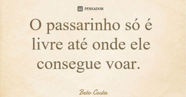 O passarinho só é livre até onde ele consegue voar.... Frase de Beto Costa.