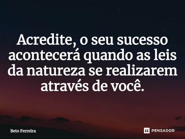 ⁠Acredite, o seu sucesso acontecerá quando as leis da natureza se realizarem através de você.... Frase de Beto Ferreira.