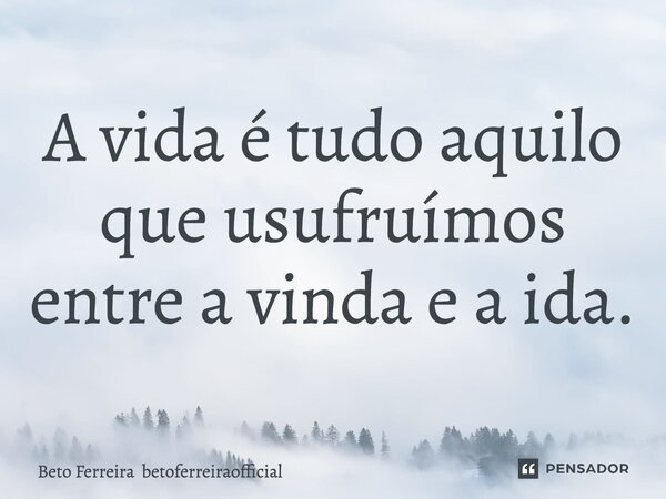 ⁠A vida é tudo aquilo que usufruímos entre a vinda e a ida.... Frase de BETO FERREIRA betoferreiraofficial.