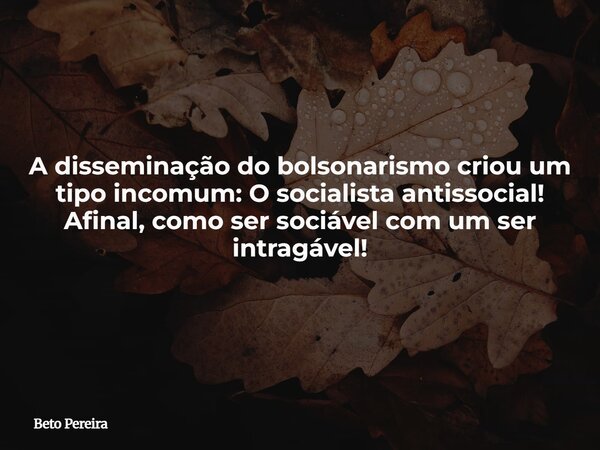 A disseminação do bolsonarismo criou um tipo incomum: O socialista antissocial! Afinal, como ser sociável com um ser intragável!... Frase de Beto Pereira.