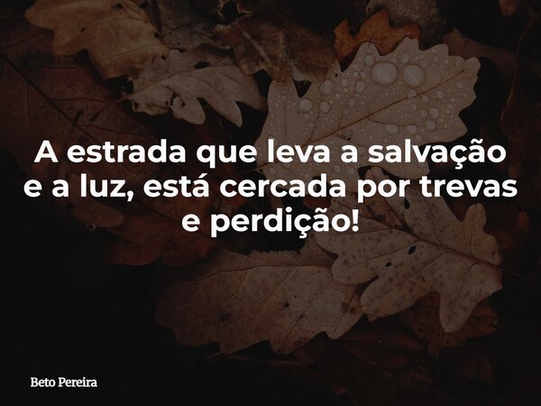 A estrada que leva a salvação e a luz, está cercada por trevas e perdição!... Frase de Beto Pereira.