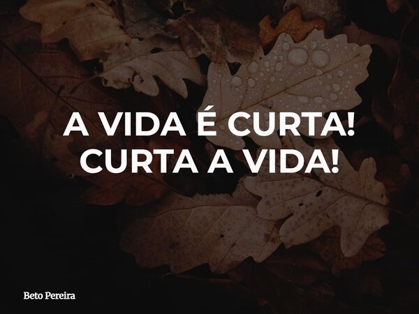 A VIDA É CURTA! CURTA A VIDA!... Frase de Beto Pereira.