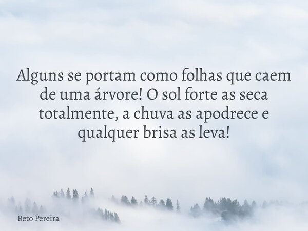 Alguns se portam como folhas que caem de uma árvore! O sol forte as seca totalmente, a chuva as apodrece e qualquer brisa as leva!... Frase de Beto Pereira.