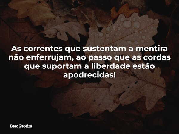 As correntes que sustentam a mentira não enferrujam, ao passo que as cordas que suportam a liberdade estão apodrecidas!... Frase de Beto Pereira.
