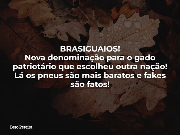 BRASIGUAIOS! Nova denominação para o gado patriotário que escolheu outra nação! Lá os pneus são mais baratos e fakes são fatos!... Frase de Beto Pereira.