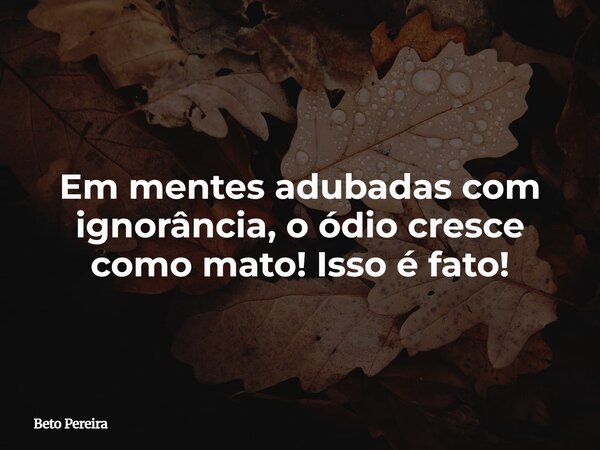 Em mentes adubadas com ignorância, o ódio cresce como mato! Isso é fato!... Frase de Beto Pereira.
