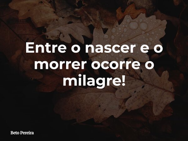Entre o nascer e o morrer ocorre o milagre!... Frase de Beto Pereira.