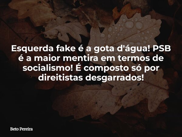 Esquerda fake é a gota d'água! PSB é a maior mentira em termos de socialismo! É composto só por direitistas desgarrados!... Frase de Beto Pereira.