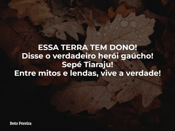 ESSA TERRA TEM DONO! Disse o verdadeiro herói gaúcho! Sepé Tiaraju! Entre mitos e lendas, vive a verdade! ⁠... Frase de Beto Pereira.