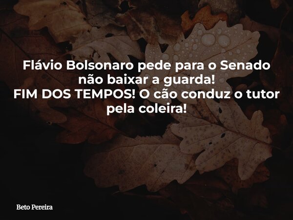 Flávio Bolsonaro pede para o Senado não baixar a guarda! FIM DOS TEMPOS! O cão conduz o tutor pela coleira! ⁠... Frase de Beto Pereira.