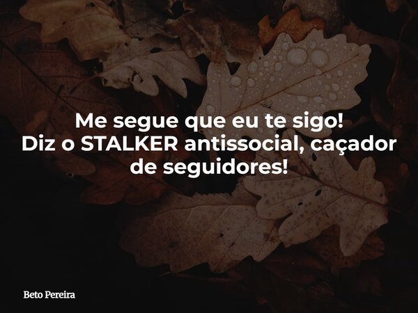 Me segue que eu te sigo! Diz o STALKER antissocial, caçador de seguidores!... Frase de Beto Pereira.