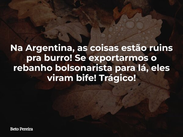 Na Argentina, as coisas estão ruins pra burro! Se exportarmos o rebanho bolsonarista para lá, eles viram bife! Trágico!⁠... Frase de Beto Pereira.