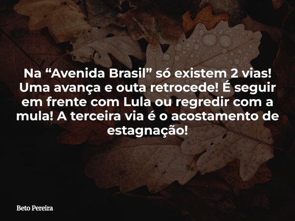 Na “Avenida Brasil” só existem 2 vias! Uma avança e outa retrocede! É seguir em frente com Lula ou regredir com a mula! A terceira via é o acostamento de estagn... Frase de Beto Pereira.