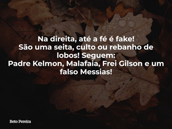 Na direita, até a fé é fake! São uma seita, culto ou rebanho de lobos! Seguem: Padre Kelmon, Malafaia, Frei Gilson e um falso Messias! ⁠... Frase de Beto Pereira.