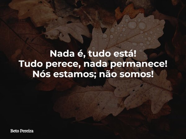 Nada é, tudo está! Tudo perece, nada permanece! Nós estamos; não somos!... Frase de Beto Pereira.