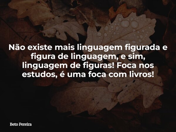 Não existe mais linguagem figurada e figura de linguagem, e sim, linguagem de figuras! Foca nos estudos, é uma foca com livros!... Frase de Beto Pereira.