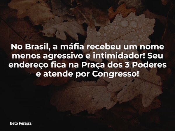No Brasil, a máfia recebeu um nome menos agressivo e intimidador! Seu endereço fica na Praça dos 3 Poderes e atende por Congresso!... Frase de Beto Pereira.