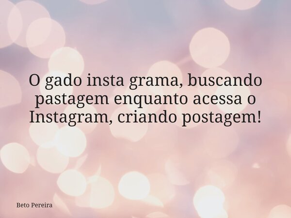 O gado insta grama, buscando pastagem enquanto acessa o Instagram, criando postagem!⁠... Frase de Beto Pereira.