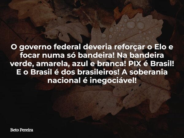O governo federal deveria reforçar o Elo e focar numa só bandeira! Na bandeira verde, amarela, azul e branca! PIX é Brasil! E o Brasil é dos brasileiros! A sobe... Frase de Beto Pereira.