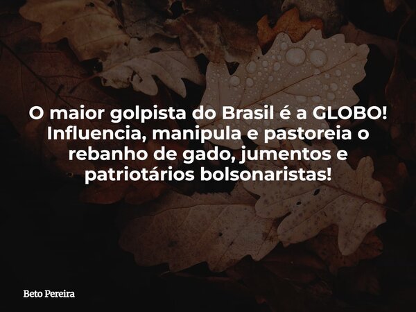 O maior golpista do Brasil é a GLOBO! Influencia, manipula e pastoreia o rebanho de gado, jumentos e patriotários bolsonaristas!⁠... Frase de Beto Pereira.