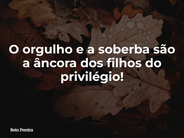 ⁠O orgulho e a soberba são a âncora dos filhos do privilégio!... Frase de Beto Pereira.