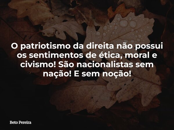 O patriotismo da direita não possui os sentimentos de ética, moral e civismo! São nacionalistas sem nação! E sem noção!... Frase de Beto Pereira.