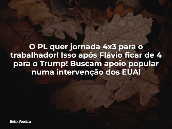 O PL quer jornada 4x3 para o trabalhador! Isso após Flávio ficar de 4 para o Trump! Buscam apoio popular numa intervenção dos EUA!⁠... Frase de Beto Pereira.