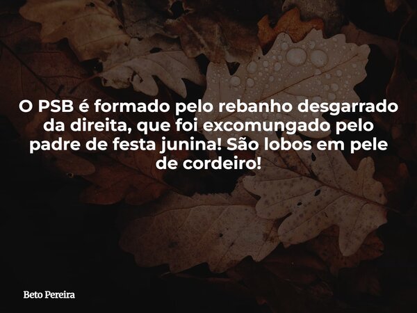 O PSB é formado pelo rebanho desgarrado da direita, que foi excomungado pelo padre de festa junina! São lobos em pele de cordeiro! ⁠... Frase de Beto Pereira.