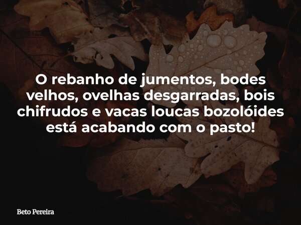 O rebanho de jumentos, bodes velhos, ovelhas desgarradas, bois chifrudos e vacas loucas bozolóides está acabando com o pasto!... Frase de Beto Pereira.