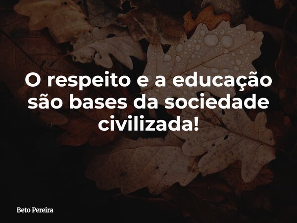 O respeito e a educação são bases da sociedade civilizada!... Frase de Beto Pereira.