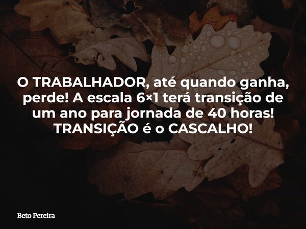 O TRABALHADOR, até quando ganha, perde! A escala 6×1 terá transição de um ano para jornada de 40 horas! TRANSIÇÃO é o CASCALHO!... Frase de Beto Pereira.
