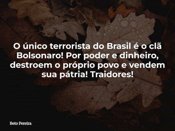 O único terrorista do Brasil é o clã Bolsonaro! Por poder e dinheiro, destroem o próprio povo e vendem sua pátria! Traidores!... Frase de Beto Pereira.