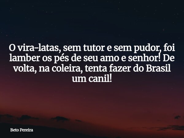 O vira-latas, sem tutor e sem pudor, foi lamber os pés de seu amo e senhor! De volta, na coleira, tenta fazer do Brasil um canil!⁠... Frase de Beto Pereira.